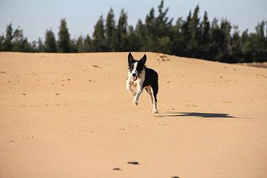 凄美的明末生死恋《哀鸿：城破十日记》Steam商店页面现已公开